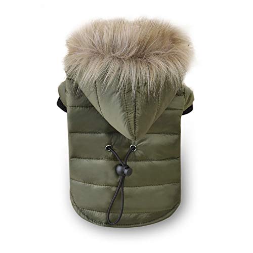 SARUEL Winter Haustier Hund Kleidung Super Warme Jacke Dicker Baumwolle Mantel Für Chihuahua Weiche Kleine Haustiere Kleidung Welpen Hoodies,Grün,M SARUEL Winter Haustier Hund Kleidung Super Warme Jacke Dicker Baumwolle Mantel Für Chihuahua Weiche Kleine Haustiere Kleidung Welpen Hoodies,Grün,M von SARUEL