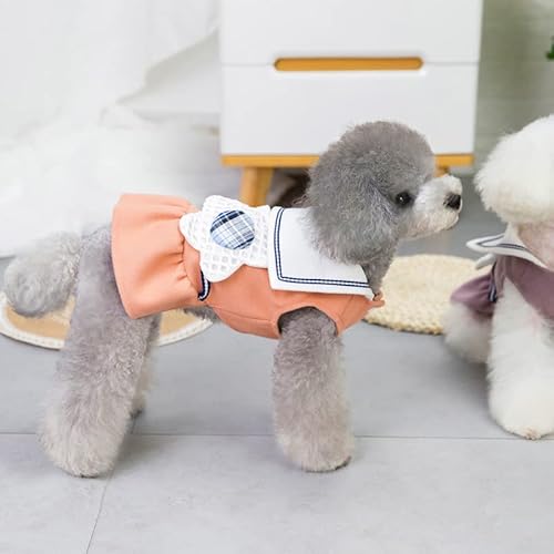 SARUEL Winter-Haustier-Kleidung,Kätzchen,Welpe,Süßes Kleid,Süßer Hunde-Katzen-Rock Für Kleine Mittelgroße Hunde,Für Kleine Hunde Und Katzen,Baumwollrock,Haustier-Kleidung,B,M SARUEL Winter-Haustier-Kleidung,Kätzchen,Welpe,Süßes Kleid,Süßer Hunde-Katzen-Rock Für Kleine Mittelgroße Hunde,Für Kleine Hunde Und Katzen,Baumwollrock,Haustier-Kleidung,B,M von SARUEL