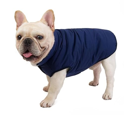 SARUEL Winter-Hundekleidung,Verdickte Warme Hundejacke Für Kleine Mittelgroße Hunde,Welpenmantel,Französische Bulldogge,Baumwollkleidung,York-Haustierkostüm,A,L von SARUEL