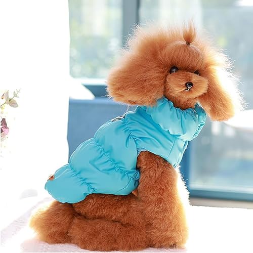 SARUEL Winterwarmer Rollkragenpullover Für Hunde Aus Weicher Baumwolle Für Kleine Und Mittelgroße Hunde Und Katzen,Kleidung Für Französische Bulldogge,Chihuahua-Kostüme,Hellblau,XS SARUEL Winterwarmer Rollkragenpullover Für Hunde Aus Weicher Baumwolle Für Kleine Und Mittelgroße Hunde Und Katzen,Kleidung Für Französische Bulldogge,Chihuahua-Kostüme,Hellblau,XS von SARUEL
