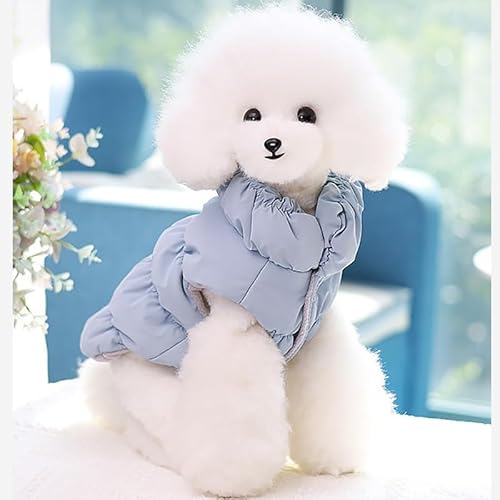 SARUEL Winterwarmer Rollkragenpullover Für Hunde Aus Weicher Baumwolle Für Kleine Und Mittelgroße Hunde Und Katzen,Kleidung Für Französische Bulldogge,Chihuahua-Kostüme,Himmelblau,S SARUEL Winterwarmer Rollkragenpullover Für Hunde Aus Weicher Baumwolle Für Kleine Und Mittelgroße Hunde Und Katzen,Kleidung Für Französische Bulldogge,Chihuahua-Kostüme,Himmelblau,S von SARUEL