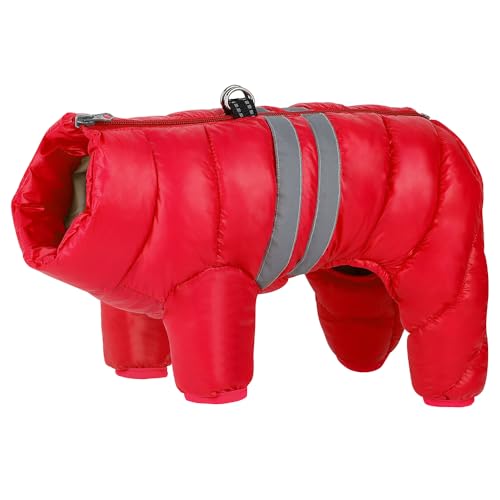 SARUEL wasserdichte Winter-Hundekleidung,Super Warme,Reflektierende Haustierjacke,Kleidung,Winddichter Haustier-Mädchen-Jungen-Hundemantel Für Kleine,Mittelgroße Hunde,Rot,18 von SARUEL