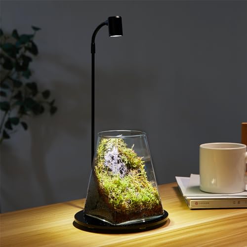 Mini-Glas-Pflanzen-Terrarium mit Licht, 10,4 x 14 cm, Sukkulenten, Luft-Pflanzgefäß, Farn, Moos, Mikro-Landschaftsvase für Zuhause, Büro, Tischdekoration, Behälter, Innenbereich, Wardian, Copyright von SARUFO