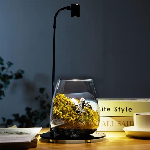 Mini-Glas-Pflanzen-Terrarium mit Licht, 11,9 x 14 cm, Sukkulenten, Luft-Pflanzgefäß, Farn, Moos, Mikro-Landschaftsvase für Zuhause, Büro, Tischdekoration, Behälter, Innenbereich, Wardian, Copyright von SARUFO