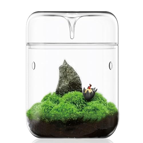 SARUFO Kleines Glaspflanzen-Terrarium, 12,9 x 17,8 cm, Sukkulenten-Übertopf, Farnmoos, Mikro-Landschaftsvase für Zuhause, Garten, Büro, Tischdekoration, Behälter mit Deckel, für den Innenbereich, von SARUFO