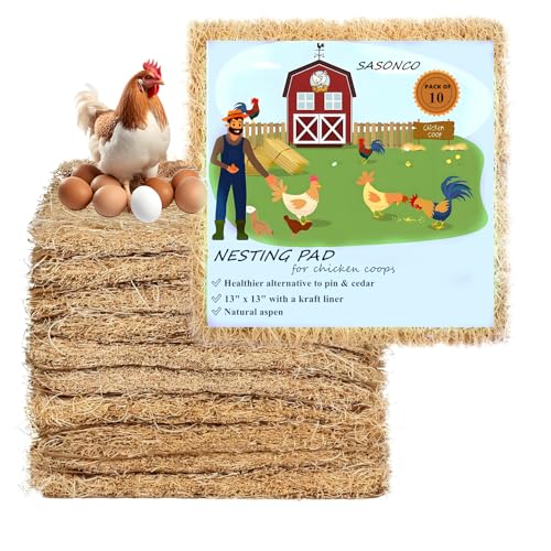 SASONCO Hühner-Nistunterlagen Aspen 10 Pads Excelsior Nisteinlagen Hühnereinstreu für Nistkasten, Nistunterlagen Kasteneinlagen, Hühnereinstreu für Stall, Kükenstreu - 33 x 33 cm SASONCO Hühner-Nistunterlagen Aspen 10 Pads Excelsior Nisteinlagen Hühnereinstreu für Nistkasten, Nistunterlagen Kasteneinlagen, Hühnereinstreu für Stall, Kükenstreu - 33 x 33 cm von SASONCO