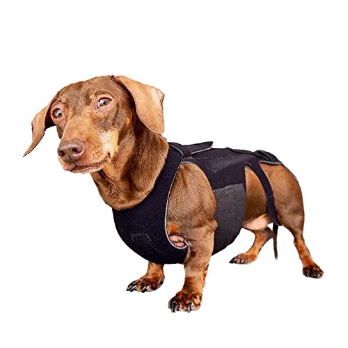 L'il Back Bracer Dog Back Brace for IVDD, Dog Back Pain Relief, Arthritis, Dachshunds, Corgies von SATOHA