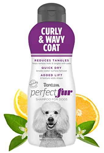 Tropiclean PerfectFur Curly & Wavy Coat Shampoo for Dogs, 16oz - Made in USA - Detangling & Dematting Formula for Thick, Wiry Breeds Like Poodles - Helps Loosen Mats & Tangles - Naturally Derived von Tropiclean