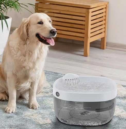 Haustier-Trinkbrunnen Katzen-Trinkbrunnen Kann in der Küche im Schlafzimmer Fassungsvermögen Eimer: 7L Weiß Klar Grau 30dB 32 * 30 * 18cm von SAUADY