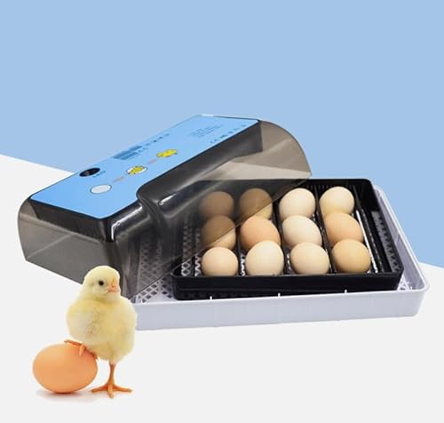 Inkubator für 12 Eier mit automatischem Wenden der Eier für Eier Enteneier Gänseeier Blau Weiß 32 * 21cm von SAUADY