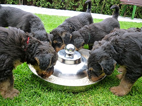 SAUERLAND SunnyDogs Welpennapf | runder Welpen Fressnapf | Welpen Futternapf für Hundekinder aus rostfreiem Edelstahl | Welpenring Ø 39 cm mit Knauf von SUNNYDOGS