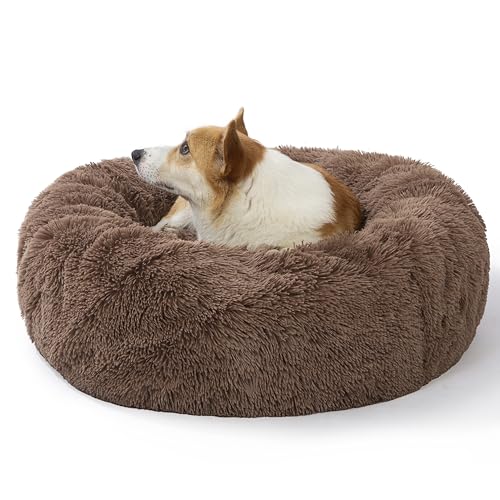 SAVFOX Hundebetten, Plüsch, beruhigend, Donutform, bequem, Kuschelbett für kleine bis sehr große Hunde und für Katzen, Kunstfell, waschbar, mehrere Größen: XS–XXL SAVFOX Hundebetten, Plüsch, beruhigend, Donutform, bequem, Kuschelbett für kleine bis sehr große Hunde und für Katzen, Kunstfell, waschbar, mehrere Größen: XS–XXL von SAVFOX