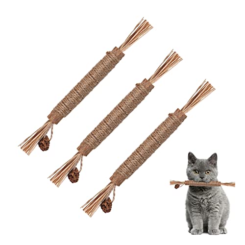 3pcs Natural Silvervine Sticks, Silvervine Catnip Chew Sticks Katzenspielzeug für Katzen Kätzchen Zahnungsspielzeug Zahnreinigungsspielzeug von SAVITA