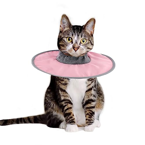 SAVITA Genesungshalsband für Katzen, Verstellbar Schützendes Cat Recovery Collar Wasserdicht Elisabethanisches Halsband für Kätzchen Welpen Nach Operationen um das Lecken von Wunden zu Stoppen (Rosa) von SAVITA