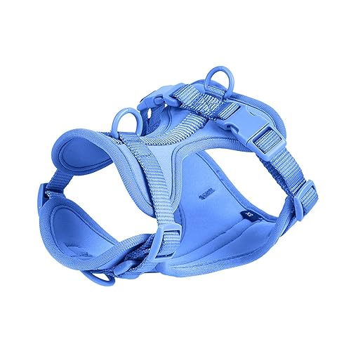 Hundegeschirr und Leine Set No Pull Hundeweste Geschirr Wasserdicht Hundeleine Halsband für kleine, mittelgroße und große Hunde (Farbe: A Himmelblaues Geschirr, Größe : 26) von SAVOMA