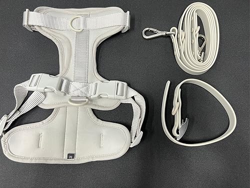 Hundegeschirr und Leine Set No Pull Hundeweste Geschirr Wasserdicht Hundeleine Halsband für kleine, mittelgroße und große Hunde (Farbe: Grau Set 2, Größe: 28) von SAVOMA
