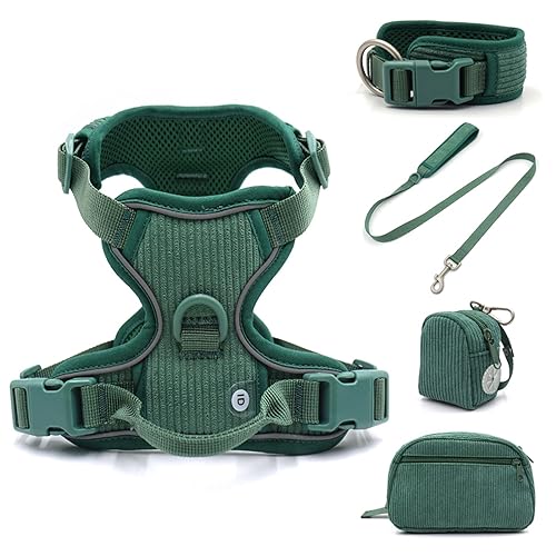 Personalisiertes Hundegeschirr Großer Hund Weich Gepolstert No Pull Harness Weste Benutzerdefiniertes Hundehalsband und Leine Set Luxus Haustier Geschenkset (Farbe: 5-teiliges Set, Größe: L Halsband Personalisiertes Hundegeschirr Großer Hund Weich Gepolstert No Pull Harness Weste Benutzerdefiniertes Hundehalsband und Leine Set Luxus Haustier Geschenkset (Farbe: 5-teiliges Set, Größe: L Halsband von SAVOMA