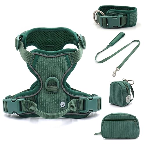 Personalisiertes Hundegeschirr Großer Hund Weich Gepolstert No Pull Harness Weste Benutzerdefiniertes Hundehalsband und Leine Set Luxus Haustier Geschenkset (Farbe: 5-teiliges Set, Größe: M Halsband von SAVOMA