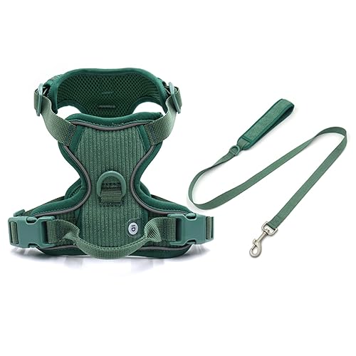 Personalisiertes Hundegeschirr Großer Hund Weich Gepolstert No Pull Harness Weste Benutzerdefiniertes Hundehalsband und Leine Set Luxus Haustier Geschenkset (Farbe: Geschirrleine, Größe: S Halsband von SAVOMA