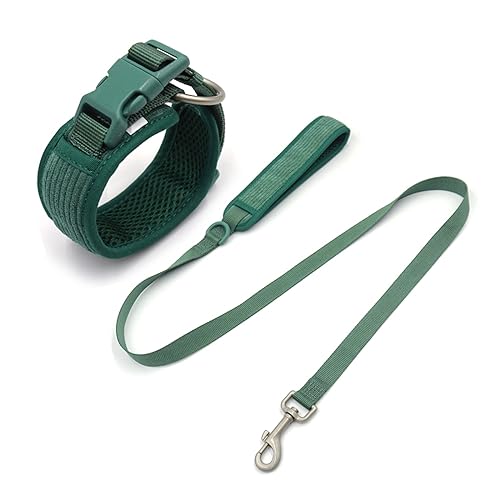 Personalisiertes Hundegeschirr Großer Hund Weich Gepolstert No Pull Harness Weste Benutzerdefiniertes Hundehalsband und Leine Set Luxus Haustier Geschenkset (Farbe: Halsband, Größe: L Halsband 48-58 Personalisiertes Hundegeschirr Großer Hund Weich Gepolstert No Pull Harness Weste Benutzerdefiniertes Hundehalsband und Leine Set Luxus Haustier Geschenkset (Farbe: Halsband, Größe: L Halsband 48-58 von SAVOMA