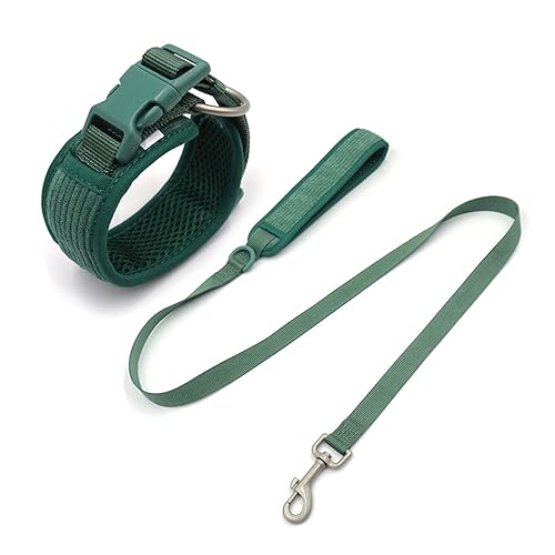 Personalisiertes Hundegeschirr Großer Hund Weich Gepolstert No Pull Harness Weste Benutzerdefiniertes Hundehalsband und Leine Set Luxus Haustier Geschenkset (Farbe: Halsband, Größe: L Halsband 48-58 von SAVOMA