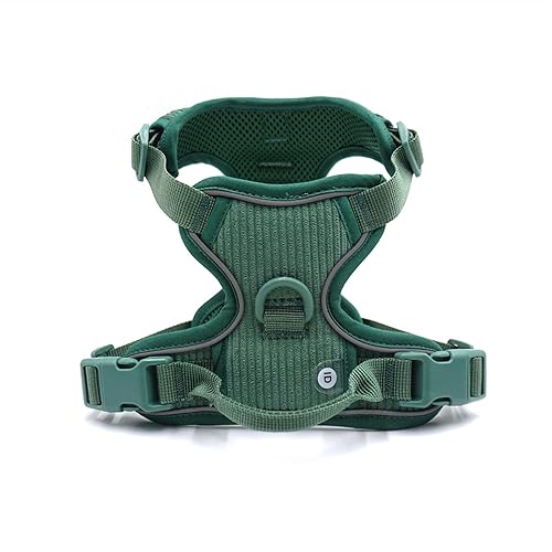 Personalisiertes Hundegeschirr Großer Hund Weich Gepolstert No Pull Harness Weste Benutzerdefiniertes Hundehalsband und Leine Set Luxus Haustier Geschenkset (Farbe: Personalisiertes Geschirr, Größe: von SAVOMA