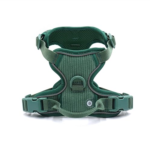 Personalisiertes Hundegeschirr Großer Hund Weich Gepolstert No Pull Harness Weste Benutzerdefiniertes Hundehalsband und Leine Set Luxus Haustier Geschenkset (Farbe: Personalisiertes Geschirr, Größe: S Personalisiertes Hundegeschirr Großer Hund Weich Gepolstert No Pull Harness Weste Benutzerdefiniertes Hundehalsband und Leine Set Luxus Haustier Geschenkset (Farbe: Personalisiertes Geschirr, Größe: S von SAVOMA
