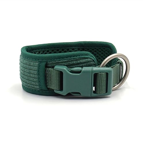Personalisiertes Hundegeschirr Großer Hund Weich Gepolstert No Pull Harness Weste Benutzerdefiniertes Hundehalsband und Leine Set Luxus Haustier Geschenkset (Farbe: Personalisiertes Halsband, Größe: L Personalisiertes Hundegeschirr Großer Hund Weich Gepolstert No Pull Harness Weste Benutzerdefiniertes Hundehalsband und Leine Set Luxus Haustier Geschenkset (Farbe: Personalisiertes Halsband, Größe: L von SAVOMA