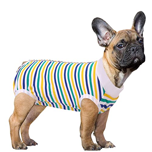 SAWMONG Erholungsanzug für Hunde, Haustier-Rehabilitationsanzug nach Operationen, Erholungs-Shirt, chirurgischer Anzug, Hundeeinteiler für männliche und weibliche Hunde, -Halsband und Kegel von SAWMONG