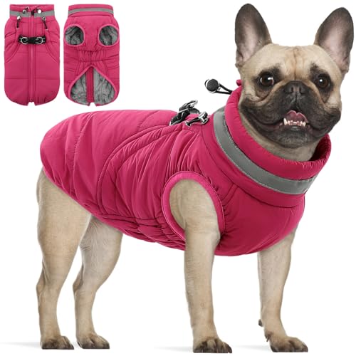 SAWMONG Hundemantel, warmer Hunde-Wintermantel, wasserdichte Fleecejacke, kaltes Wetter, Hundejacke (Größe M, Rosered) von SAWMONG