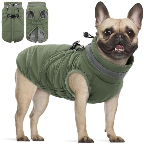 SAWMONG Hundemantel, warmer Hunde-Wintermantel, wasserdichte Fleecejacke, kaltes Wetter, Hundejacke (Größe XS, Grün) von SAWMONG