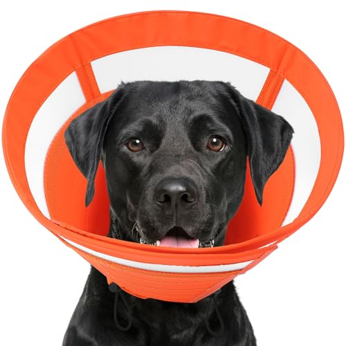 SAWMONG Weicher Hundekegel für große Hunde, verstellbares Halsband zur Genesung von Haustieren, um Lecken zu stoppen, leichtes Elizabeth E-Halsband zur Genesung (L, Orange) von SAWMONG