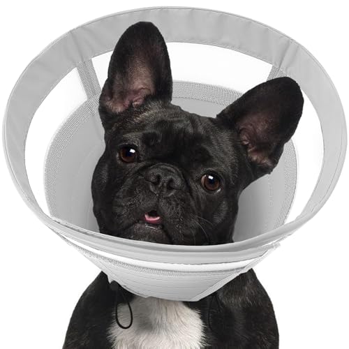 SAWMONG Weicher Hundekegel für mittelgroße Hunde, verstellbares Halsband zur Genesung von Haustieren, um Lecken zu stoppen, leichtes Elizabeth E-Halsband zur Genesung (M, Grau) von SAWMONG