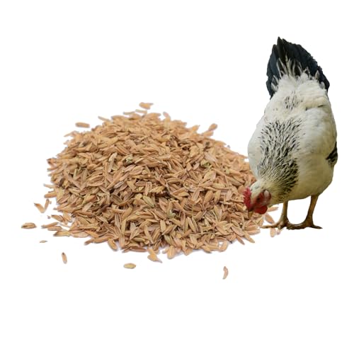 SAYOYO Reisspelzen-Premium Geflügelfutter, Natürliche Einstreu für Vögel, Hühner, Wachteln, Hamster, Kaninchen, 7.5kg von SAYOYO