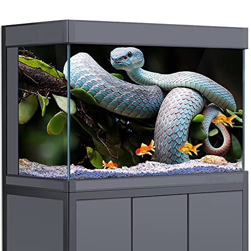 Aquarium-Hintergrund-Aufkleber, Dekoration für Aquarien, Schlange, Reptilien, Natur, HD 3D-Poster (30 x 45 cm)) von SB little