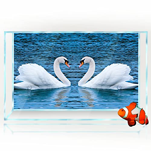 Aquarium-Hintergrund-Aufkleber, Dekoration für Aquarien, Schwanenpaar, Liebesposter (40 x 60 cm) von SB little