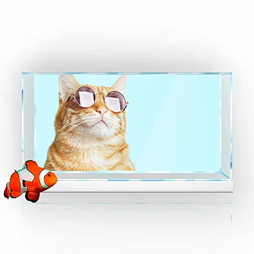 Aquarium-Hintergrund-Aufkleber, Sonnenbrille, Katze, blau, HD-Druck, Tapete, Aquarium-Hintergrund, Dekorationen, PVC, Landschaft, Poster (23,6 x 47,2 (60 x 120 cm)) von SB little