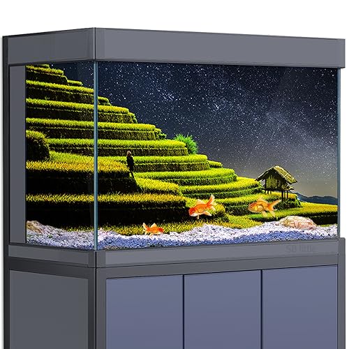 Aquarium-Hintergrund-Aufkleber – Reisterrassen Landwirtschaft Felder Natur HD 3D Poster Dekoration – für Aquarien Reptilienlebensraum (90 x 60 cm) von SB little