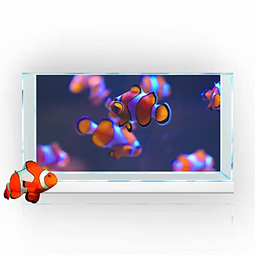 Aquarium-Hintergrundaufkleber, Clownfische, Nemo, Meeresboden, HD-Druck, Tapete, Aquarium-Hintergrund, Dekorationen, PVC-Landschaftsposter (11,8 x 23,6 (30 x 60 cm)) von SB little