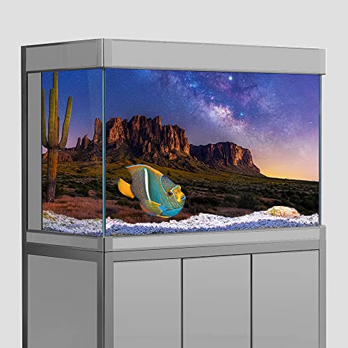 Reptilien Habitat Terrarien Aquarium Hintergrund Aufkleber Oasis Kaktus Wüste Sternenhimmel HD Druck Tapete Hintergrund Dekorationen PVC Landschaft Poster (23,6 x 47,2 (60 x 120 cm)) von SB little