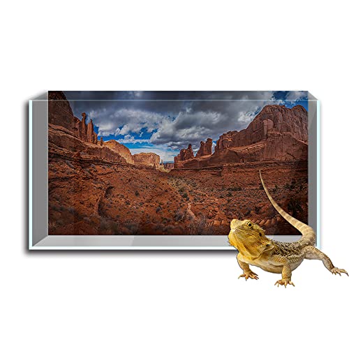 Reptilien Habitat Terrarien Hintergrund Aufkleber Himmel Oasis Kaktus Sonne Wüste HD Druck Tapete Aquarium Hintergrund Dekorationen PVC Landschaft Poster (19,6 x 31,4 (50 x 80 cm)) von SB little