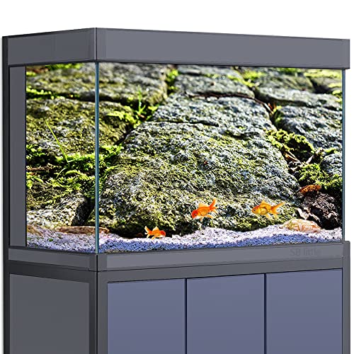 SB little Aquarium-Hintergrund-Aufkleber, Dekoration für Aquarien, Reptilien-Lebensraum, Pflasterstein, Weg, gepflastert, HD-3D-Poster (50 x 100 cm) von SB little
