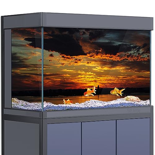 SB little Aquarium Hintergrund Aufkleber Dekoration für 5-55 Gallonen Fischtanks, Dawn Clouds Ocean Bay HD 3D Reptilien Habitat Poster (40 x 60 cm) von SB little