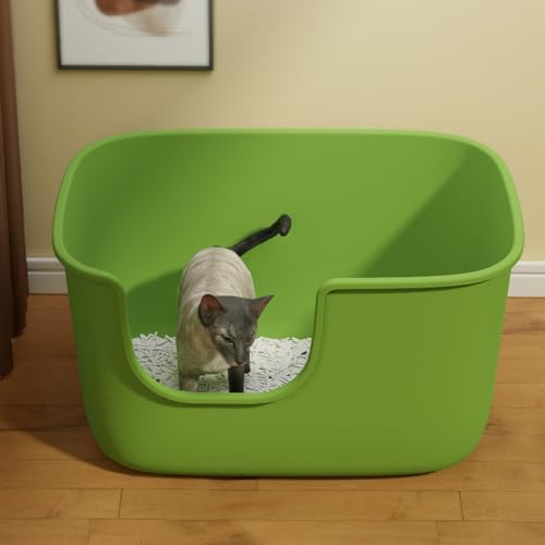 Anti-Spritz-Katzentoilette, Heimtierbedarf, Offenes Design, Leicht Zu Reinigen, Wird Mit Einer Streuschaufel Geliefert Anti-Spritz-Katzentoilette, Heimtierbedarf, Offenes Design, Leicht Zu Reinigen, Wird Mit Einer Streuschaufel Geliefert von SBCC