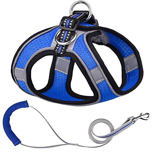 Hundegeschirr， Leine Set Welpen Mesh Harness Weich Gepolsterte Hundeleine Kleine Hunde Katzen Weste Hundezubehör DS(E,3XS) von SBJKLYRN