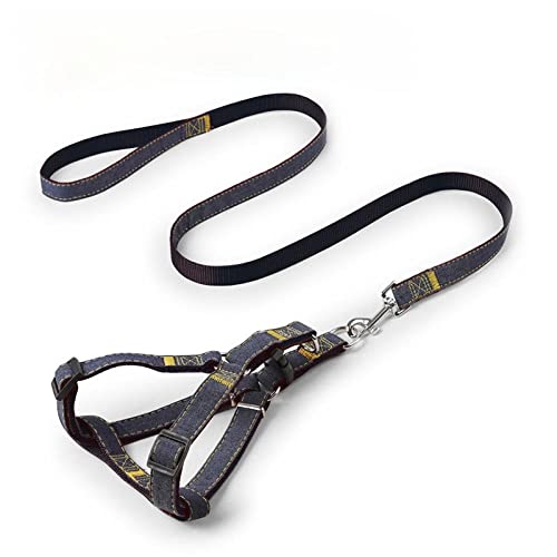 Hundegeschirr， Leinen-Set, Haustier-Leine und Geschirr-Set, verstellbares Hunde-Set, Weste, klein, mittelgroß, groß, for das Spazierengehen Training mit Hunden(Black,XL) von SBJKLYRN