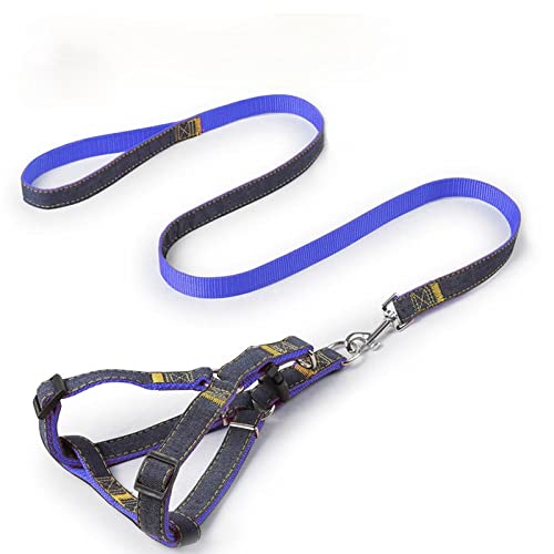 Hundegeschirr， Leinen-Set, Haustier-Leine und Geschirr-Set, verstellbares Hunde-Set, Weste, klein, mittelgroß, groß, for das Spazierengehen Training mit Hunden(Blue,XL) von SBJKLYRN