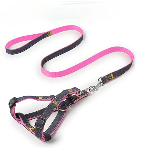Hundegeschirr， Leinen-Set, Haustier-Leine und Geschirr-Set, verstellbares Hunde-Set, Weste, klein, mittelgroß, groß, for das Spazierengehen Training mit Hunden(Pink,XL) von SBJKLYRN