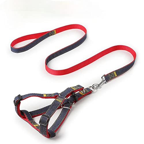 Hundegeschirr， Leinen-Set, Haustier-Leine und Geschirr-Set, verstellbares Hunde-Set, Weste, klein, mittelgroß, groß, for das Spazierengehen Training mit Hunden(Red,M) von SBJKLYRN