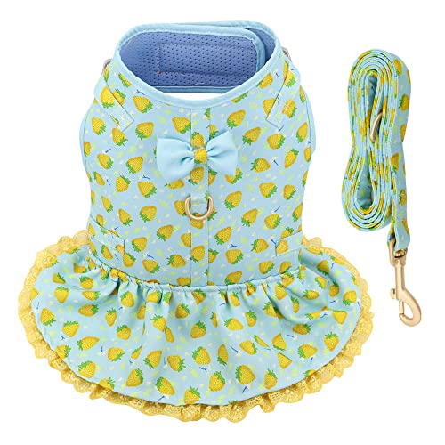 Hundegeschirr， Mit Blei Gedruckt Leine Set Haustiere Welpen Kleidung Kleid Kleine Hund Weste Blau S(Blue,XS) von SBJKLYRN